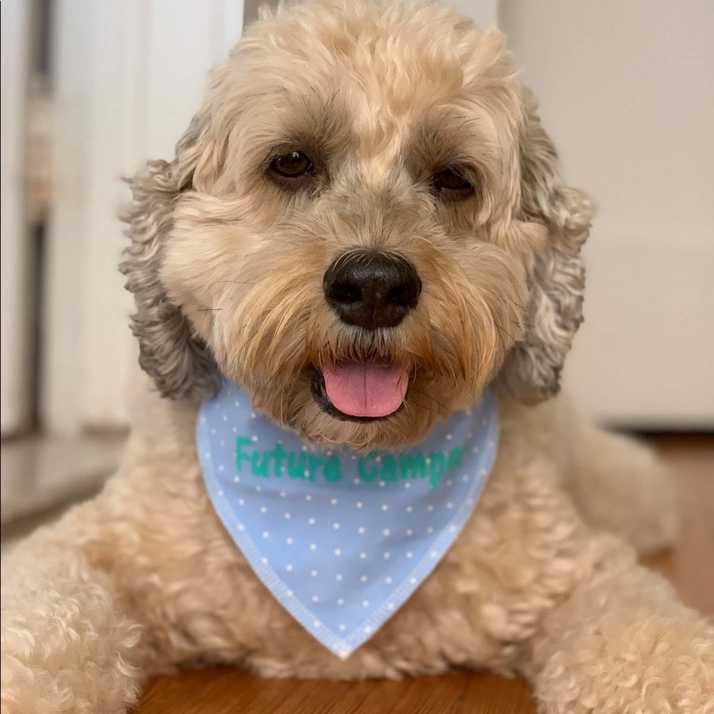 Meet your Posher, Rosa